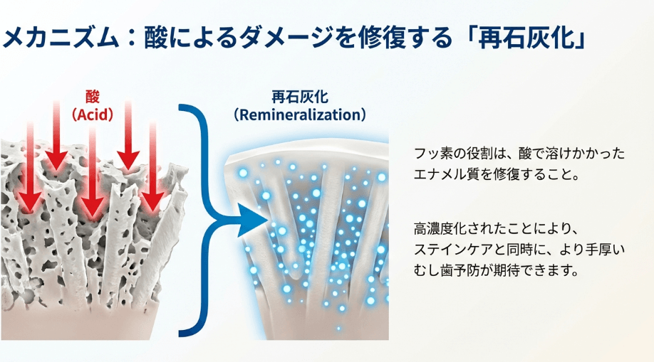 ブリリアントモアとブリリアントモアwの違いはフッ素