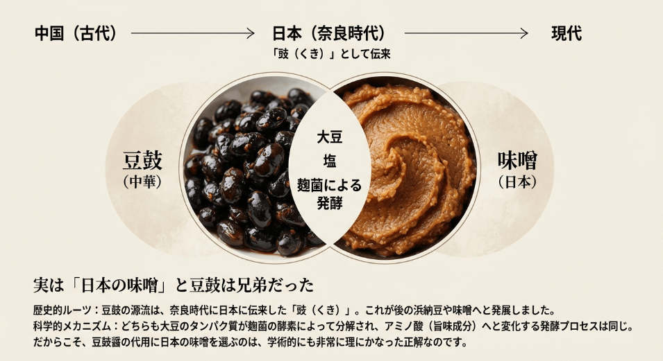 豆鼓醤の代用に向く日本の味噌と発酵の共通点