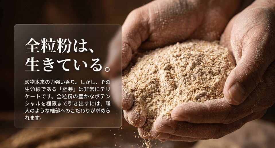全粒粉と小麦粉、何が違う？「失敗しない」選び方と栄養の秘密