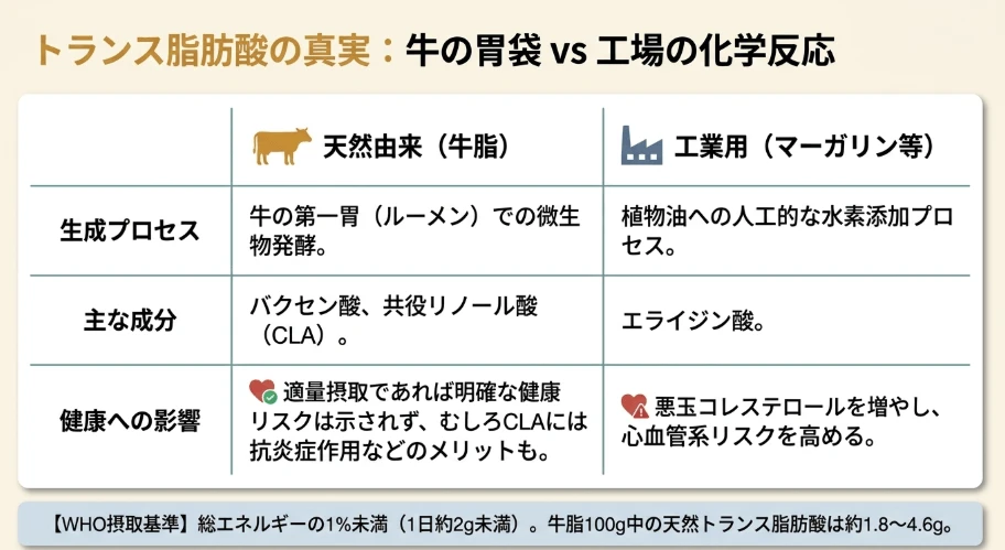 工業用トランス脂肪酸との構造や代謝経路の違い
