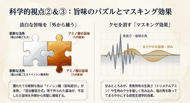 熟成前の淡白な旨味を補うアミノ酸