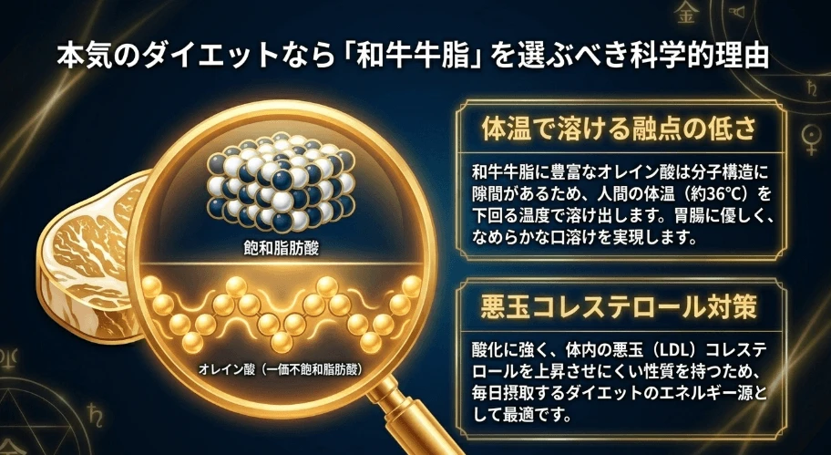 ダイエットに最適な良質な脂質