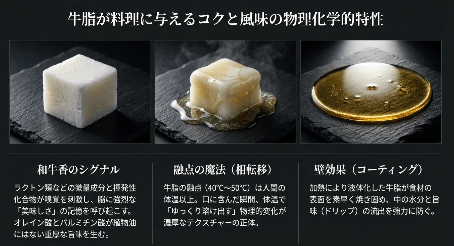 牛脂が料理に与えるコクと風味の物理化学的特性
