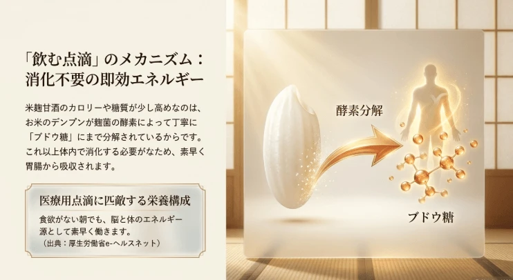 米麹甘酒の糖質と「飲む点滴」と呼ばれる理由